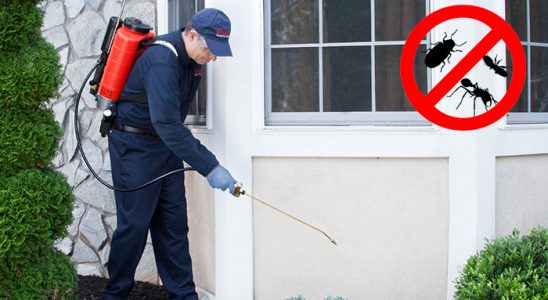 Lapseki Hamam Böceği İlaçlama böcek ilaçlama ve haşere kontrolü — ilaclama-tr.com